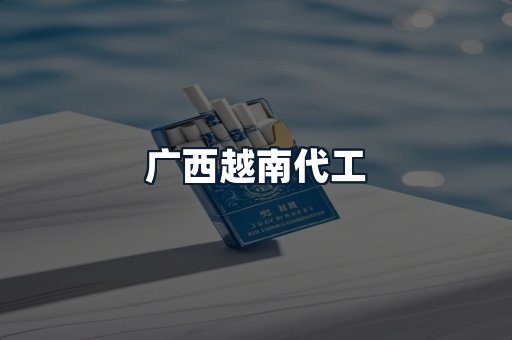 广西越南代工